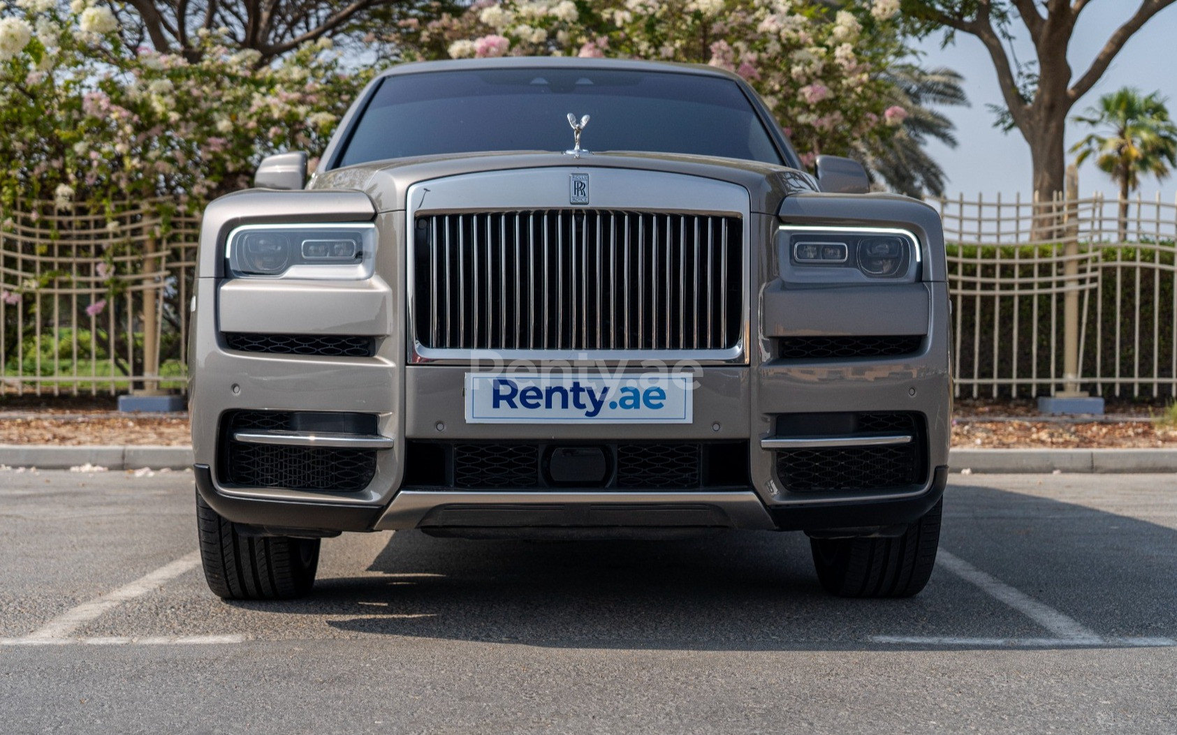 Grey Rolls Royce Cullinan for rent in Abu-Dhabi