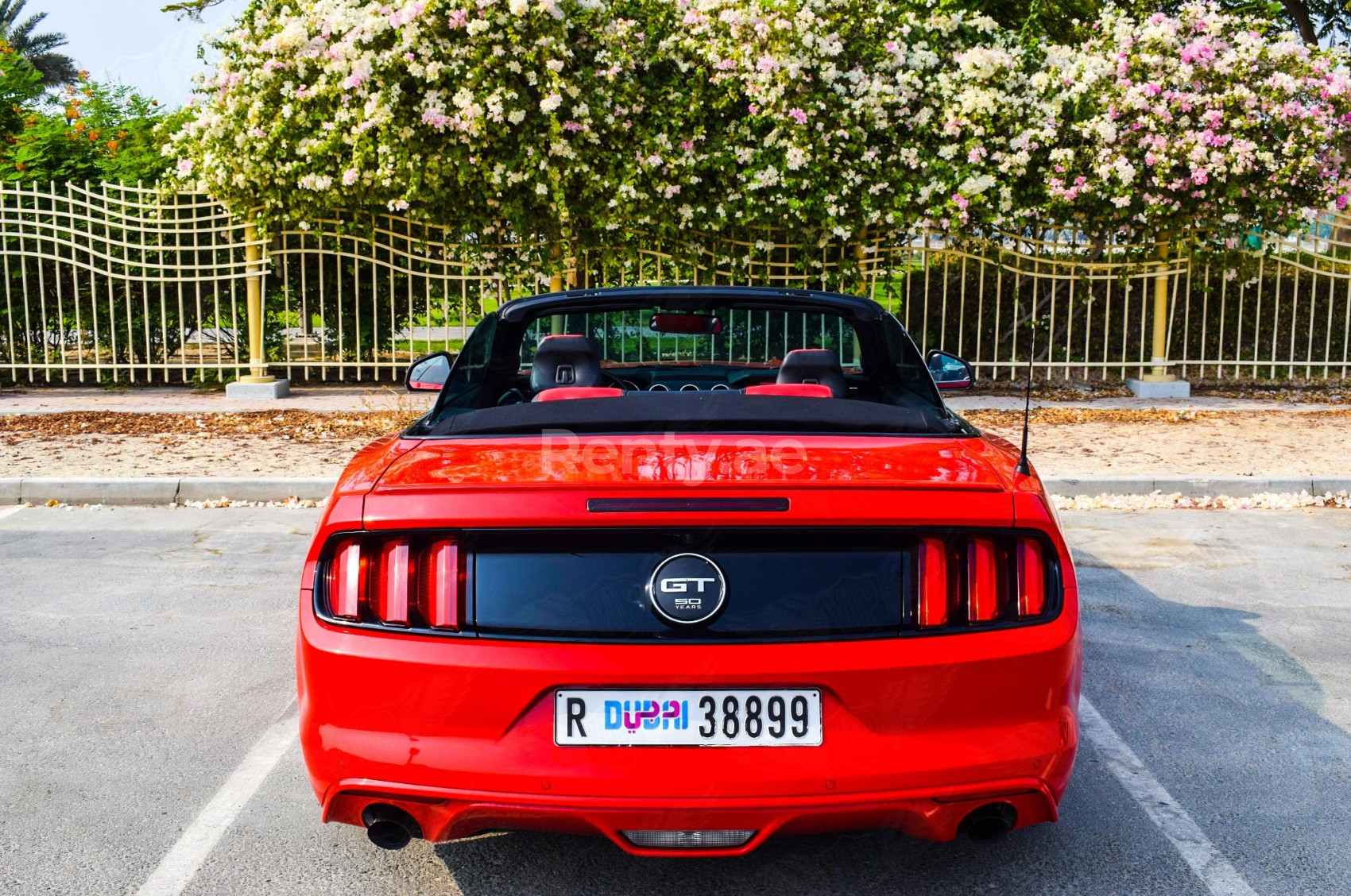 أحمر Ford Mustang Convertible للإيجار في دبي 2