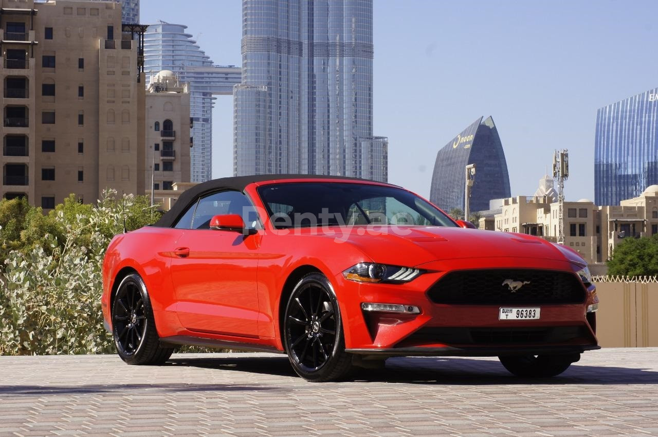 Rot Ford Mustang zur Miete in Abu-Dhabi 1