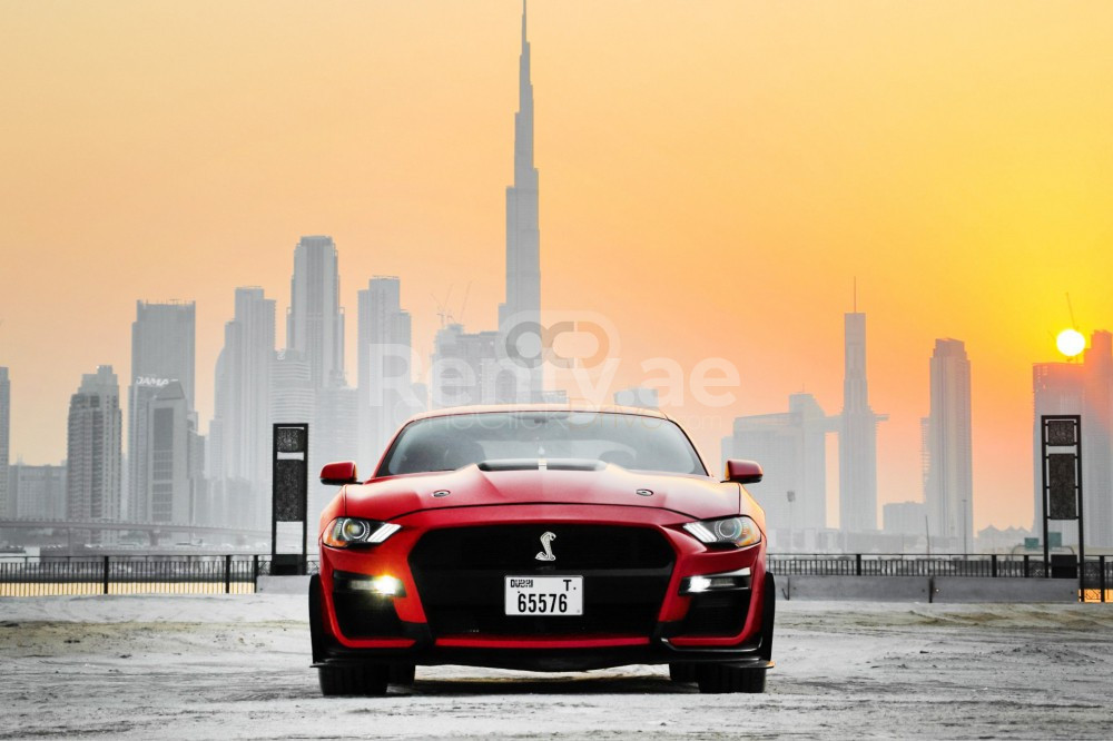 أحمر Ford Mustang للإيجار في أبو ظبي 0