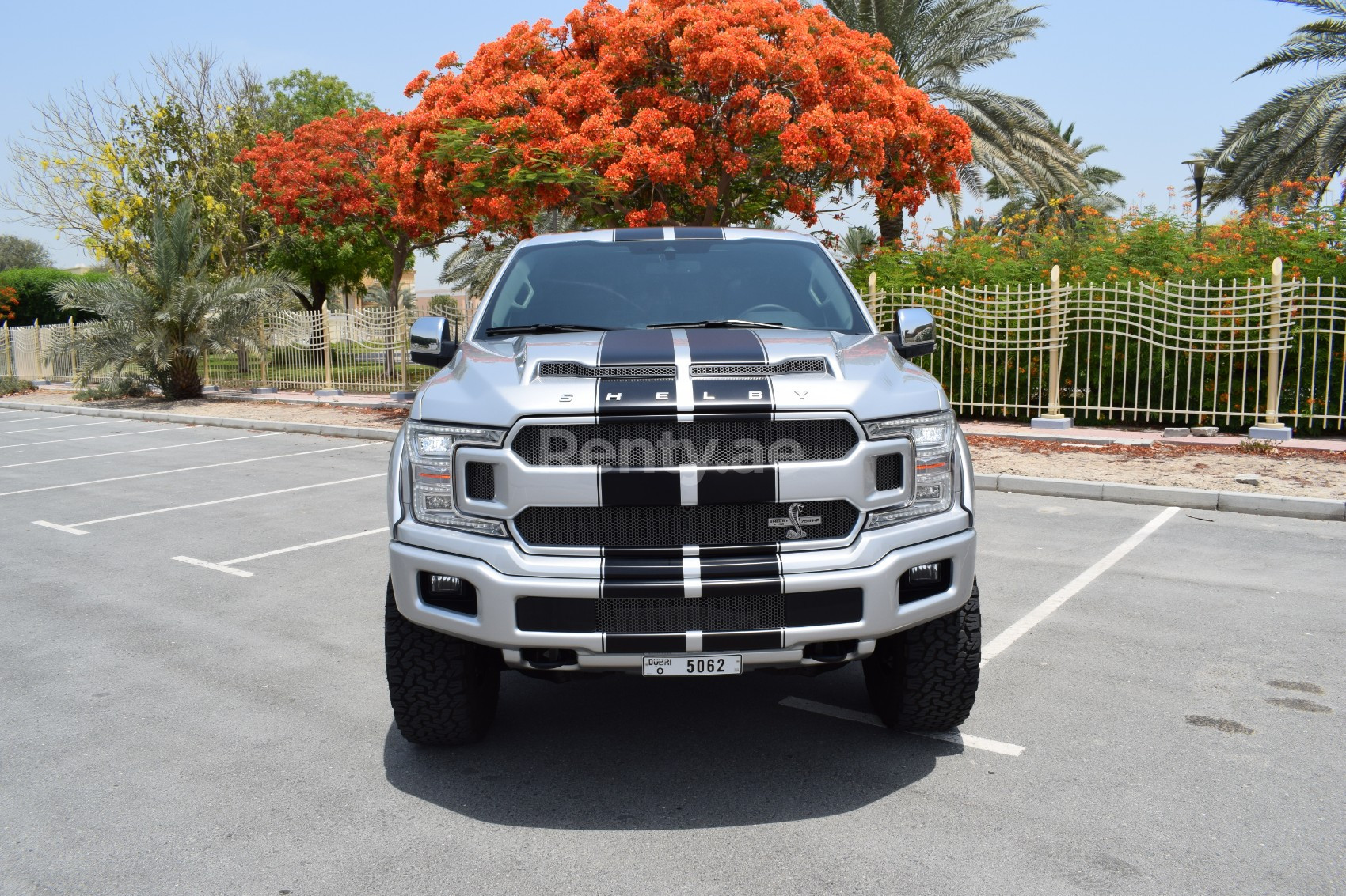 Silber Ford F150 Shelby zur Miete in Abu-Dhabi 0