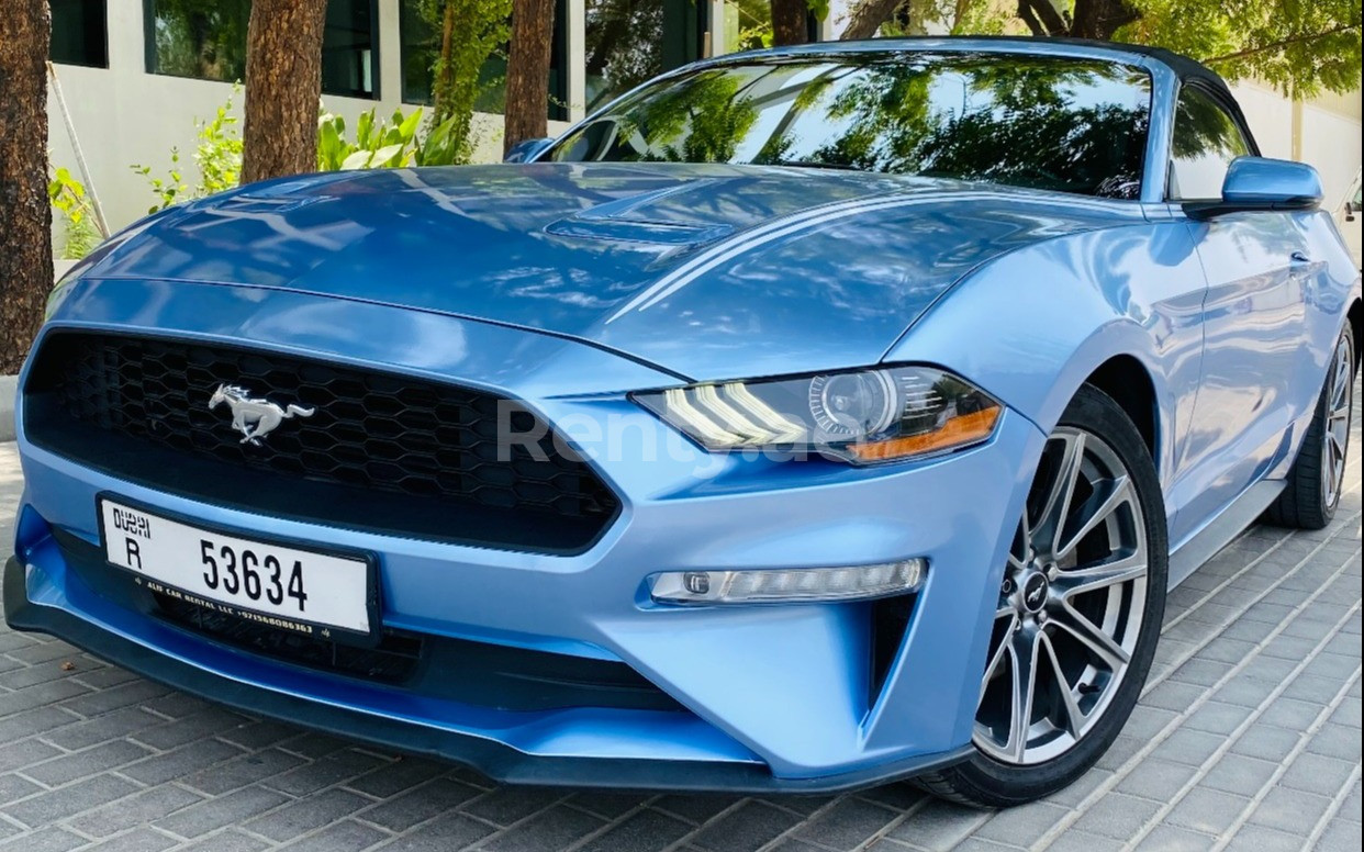 Argento Ford Mustang Cabrio Sky Blue in affitto a Abu-Dhabi