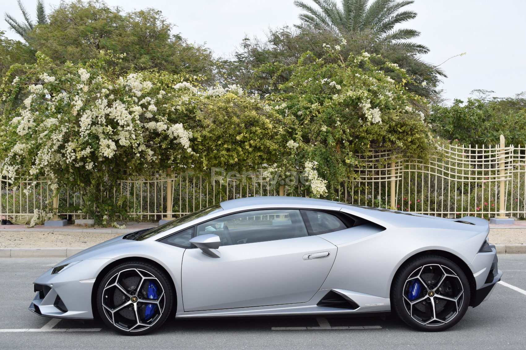 Silver Lamborghini Evo for rent in Abu-Dhabi 3