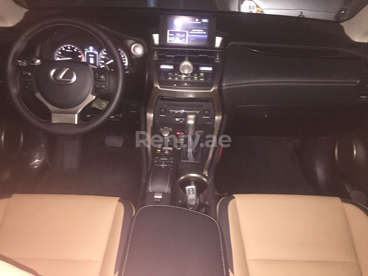 Silver LEXUS  NX 200 for rent in Sharjah 9