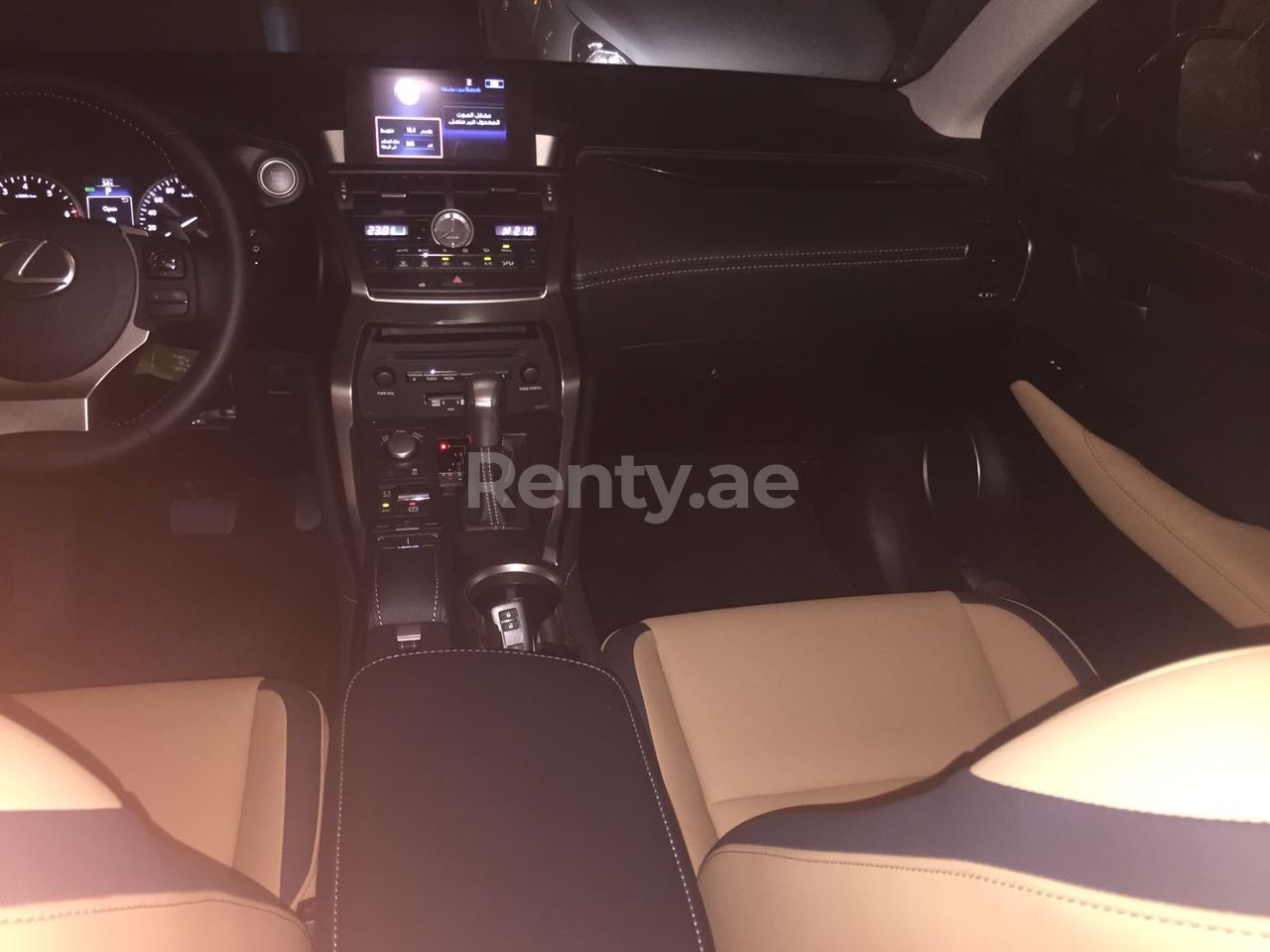 Silver LEXUS  NX 200 for rent in Sharjah 10