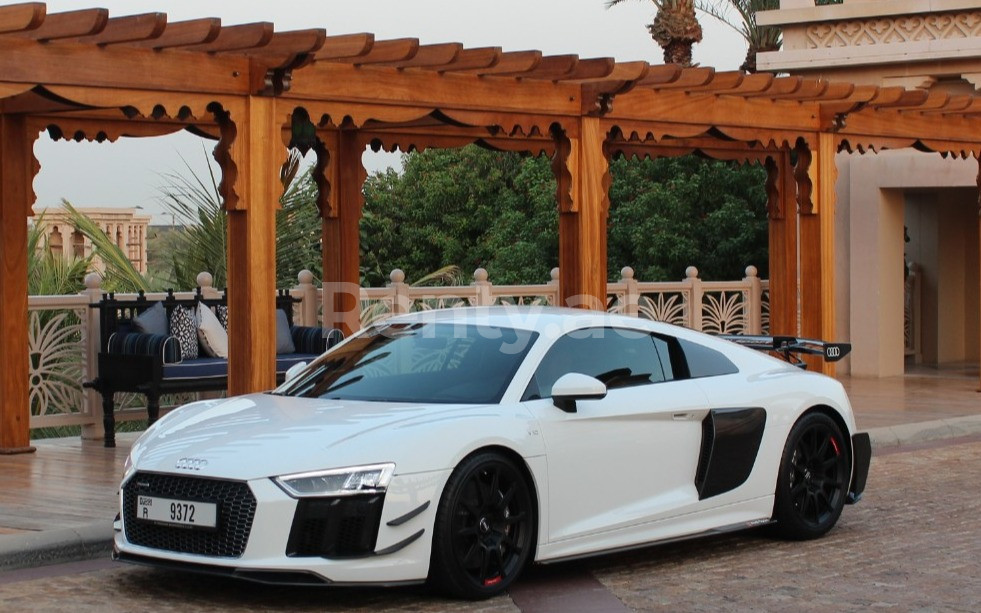 Bianca Audi R8 V10 Plus Limited in affitto a Abu-Dhabi