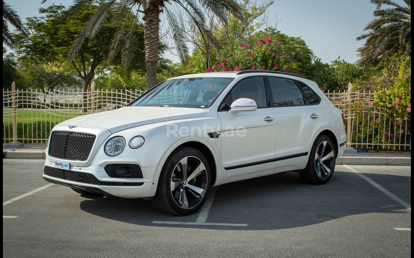 White Bentley Bentayga for rent in Dubai