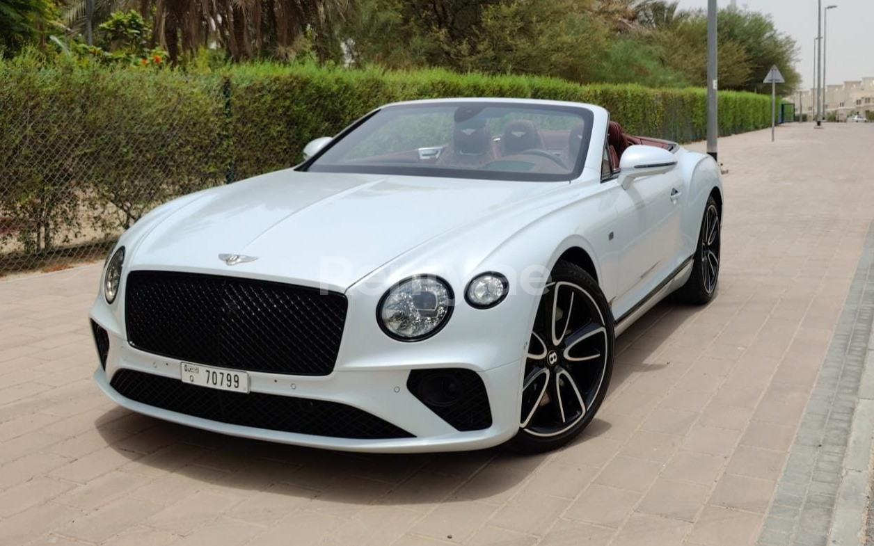 White Bentley Continental GTC for rent in Abu-Dhabi