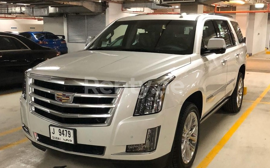 White Cadillac Escalade for rent in Abu-Dhabi