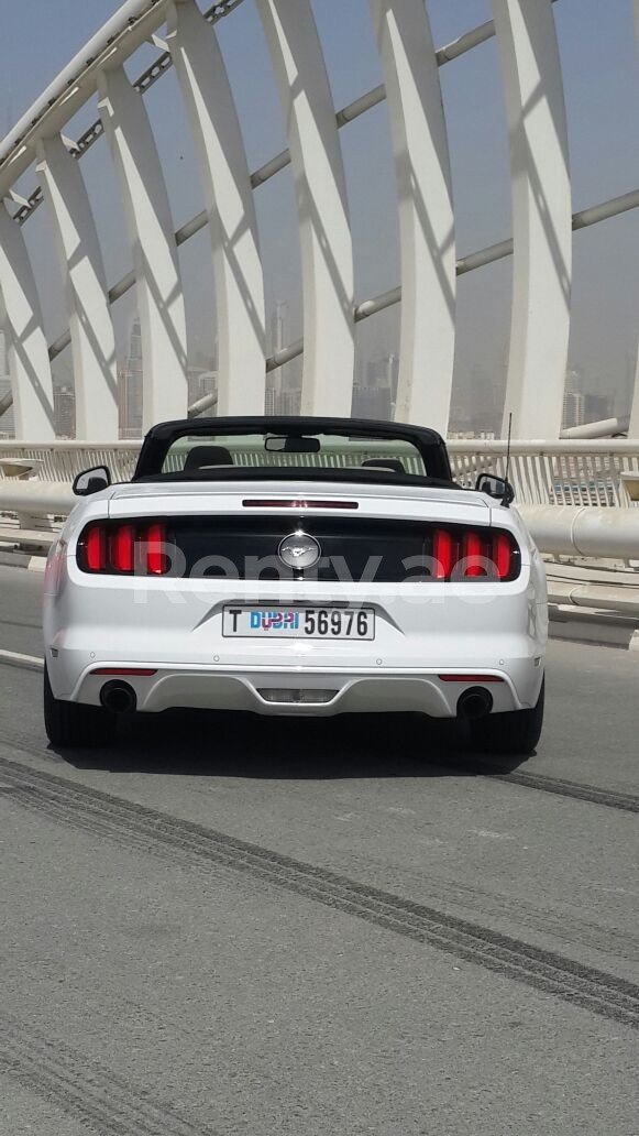 أبيض Ford Mustang Convertible للإيجار في دبي 4