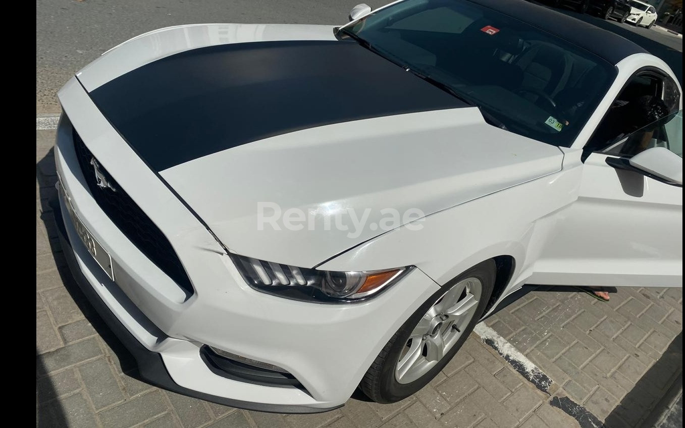 أبيض Ford Mustang Coupe للإيجار في دبي