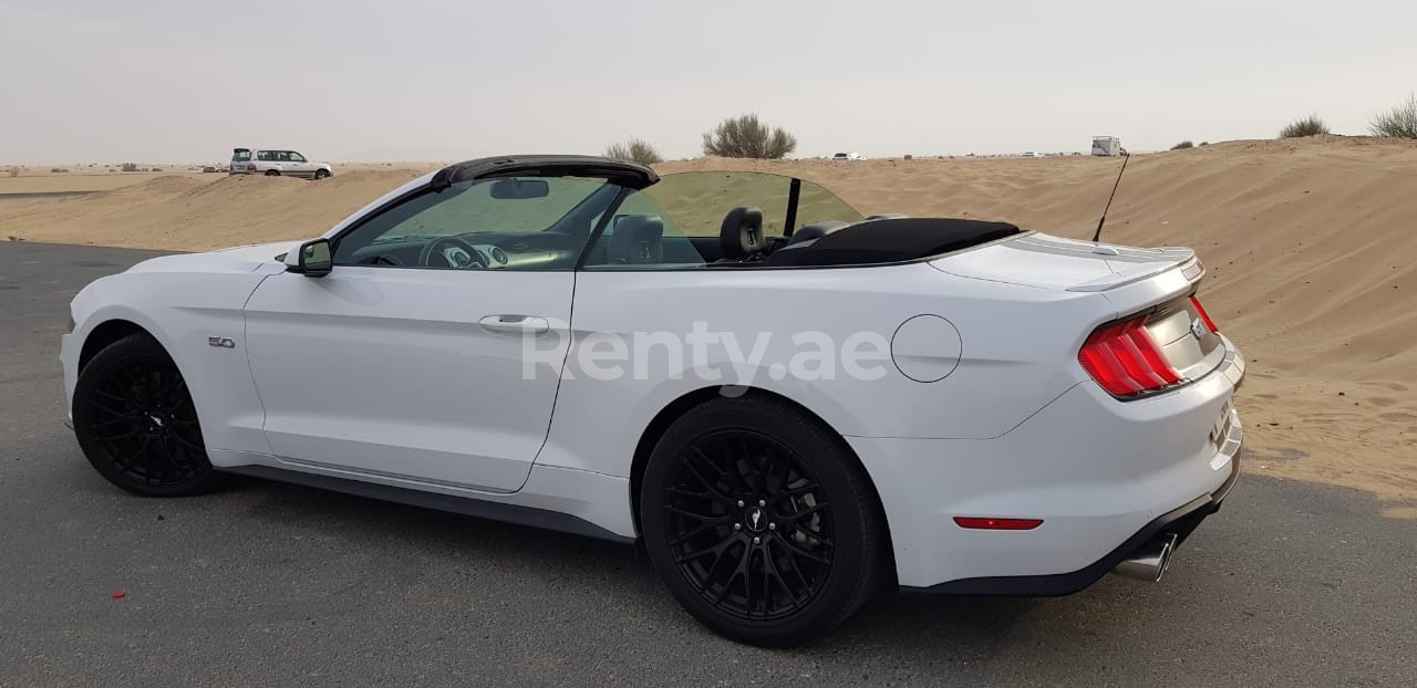 Weiß Ford Mustang GT zur Miete in Sharjah 1