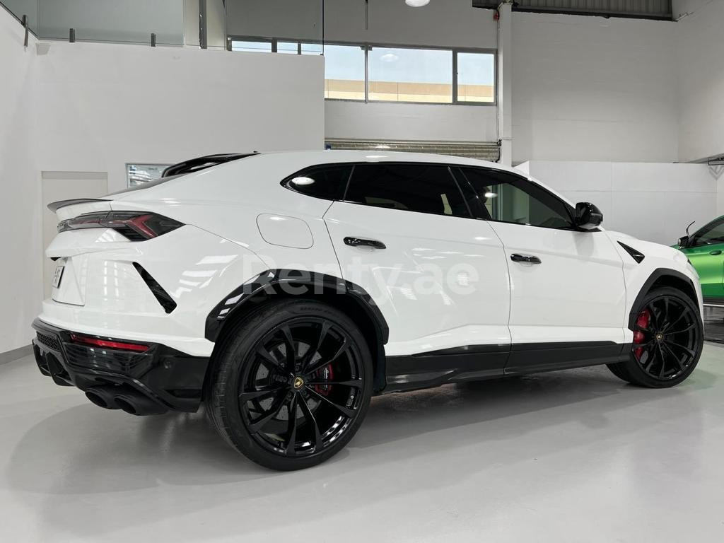 White Lamborghini Urus for rent in Dubai 1