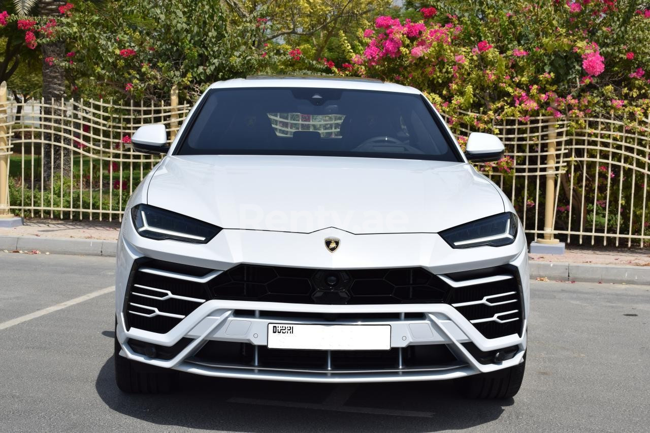 أبيض Lamborghini Urus للإيجار في الشارقة 0