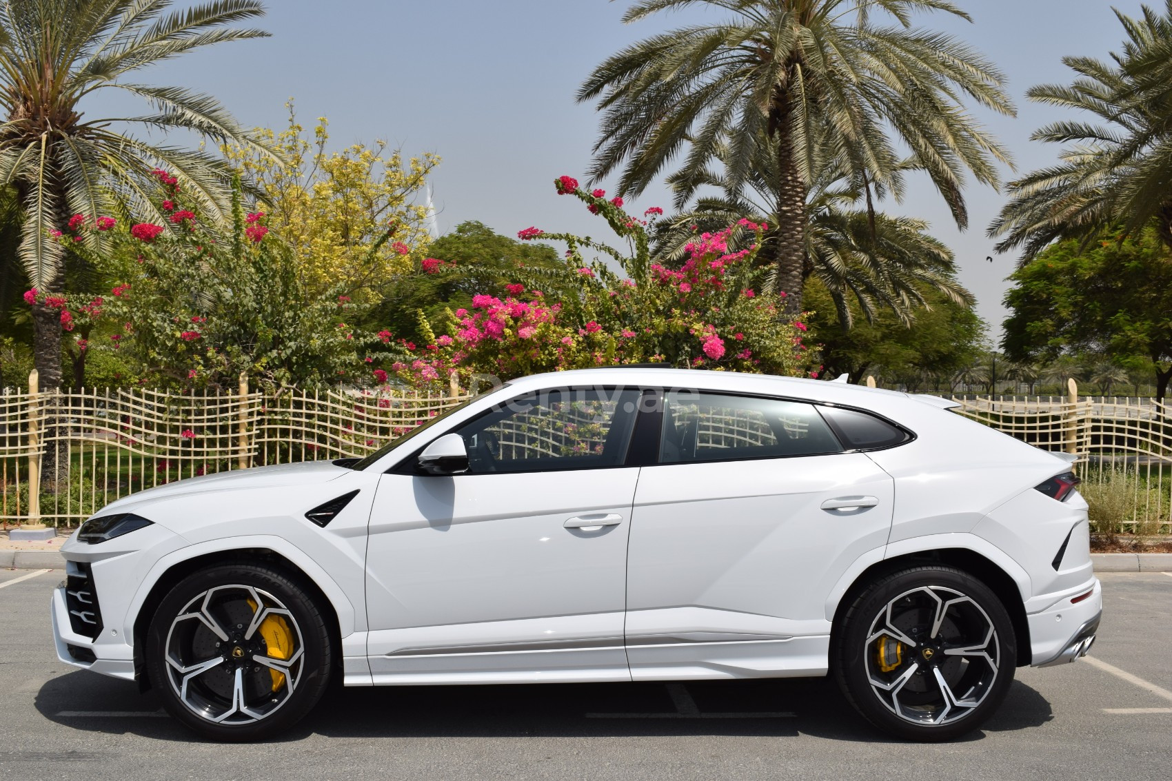 Bianca Lamborghini Urus in affitto a Dubai 2