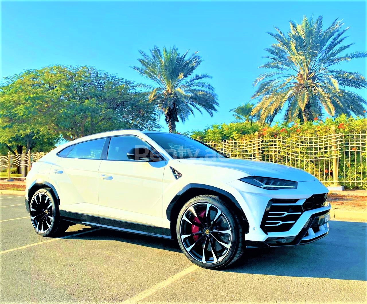 White Lamborghini Urus for rent in Sharjah 5