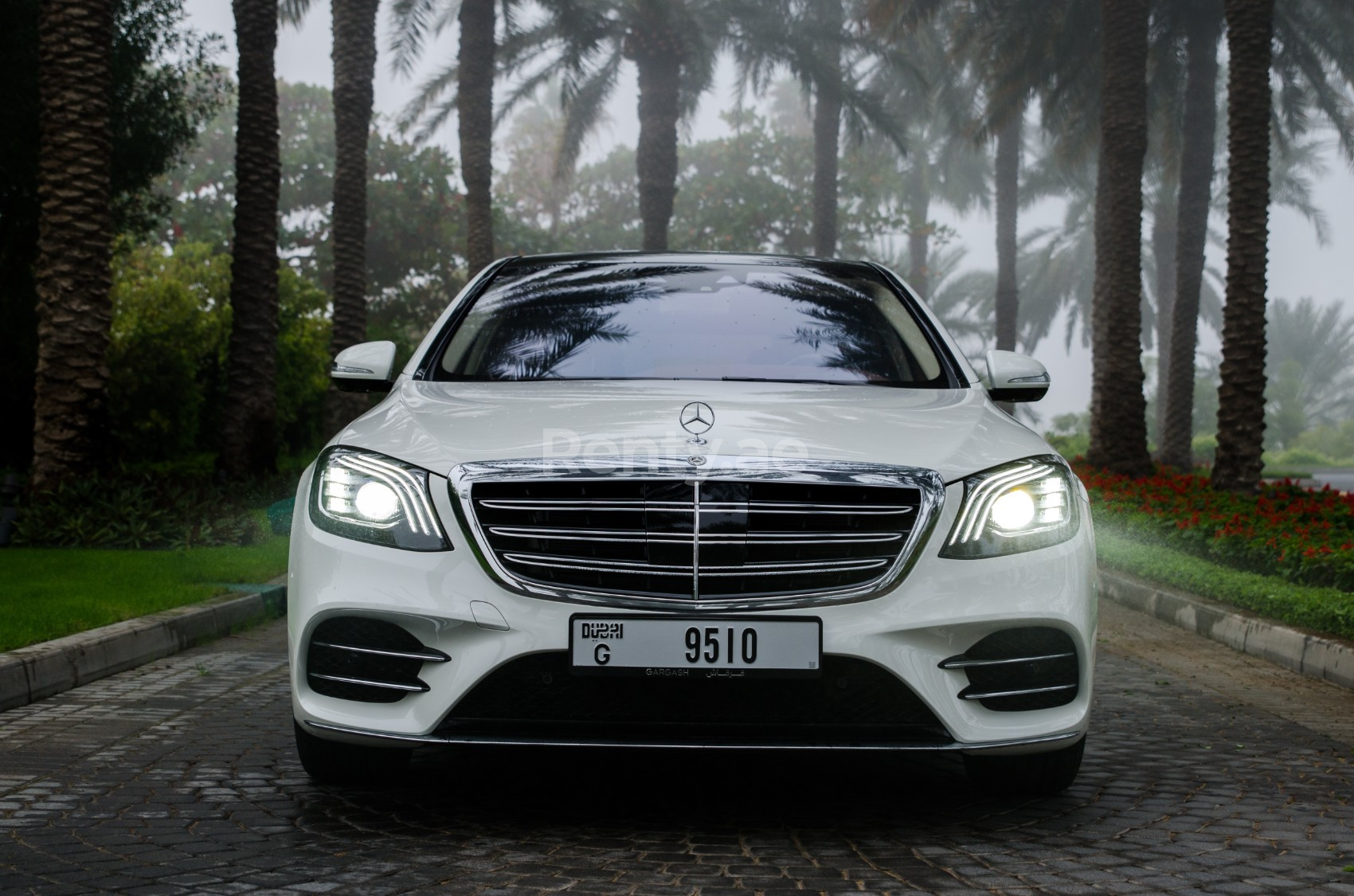 أبيض Mercedes S Class للإيجار في دبي 2