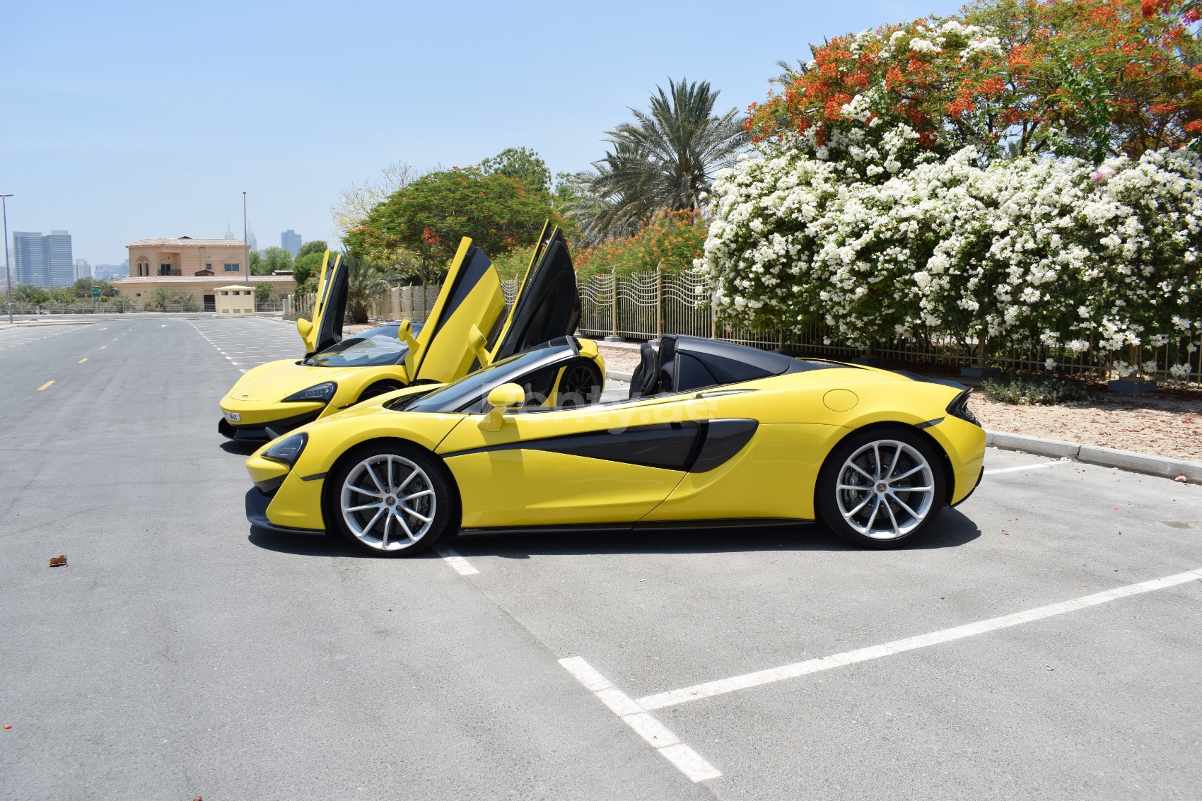 Giallo McLaren 570S Spider in affitto a Sharjah 1