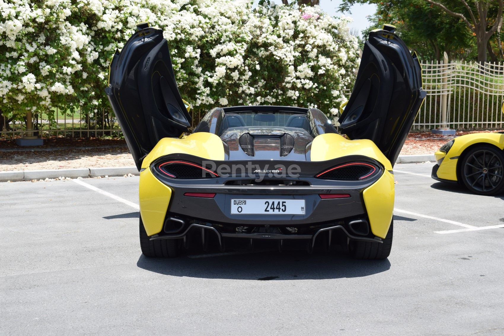 Gelb McLaren 570S Spider zur Miete in Sharjah 2