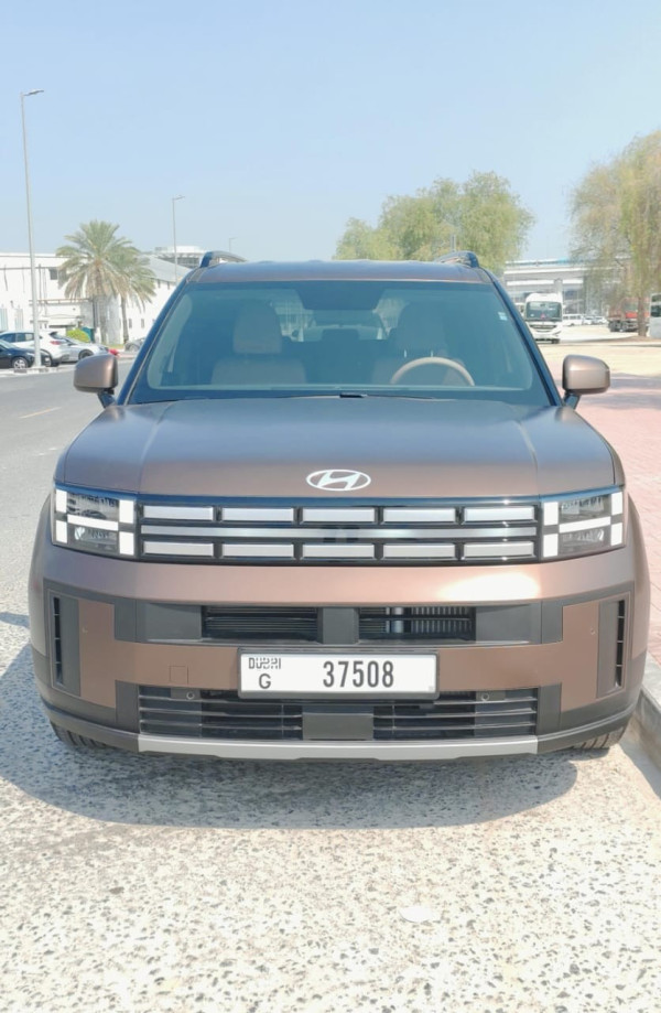  Braun Hyundai Santa Fe Photo 5