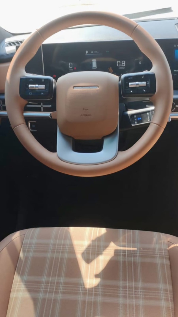  Braun Hyundai Santa Fe Photo 7