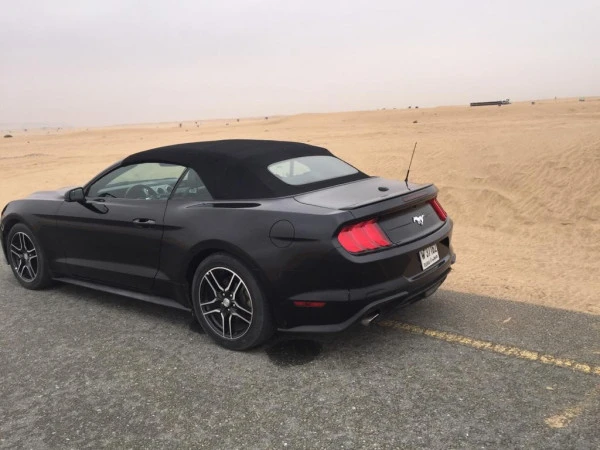  Black Ford Mustang Convertible Photo 5
