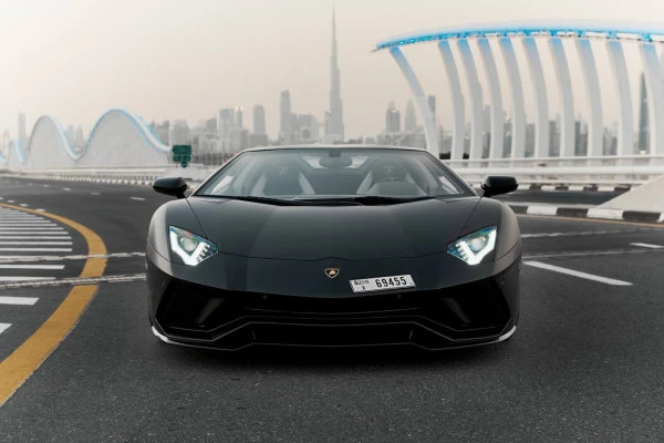  Black Lamborghini Aventador Roadster Photo 3
