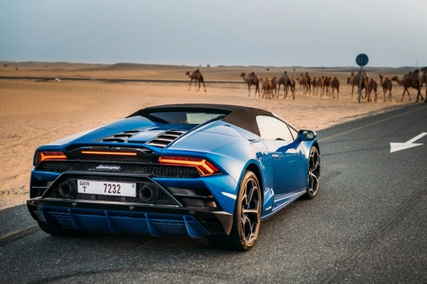  Bleue Lamborghini Evo Spyder Photo 4