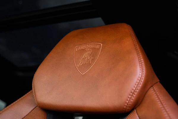  Blue Lamborghini Urus Photo 14