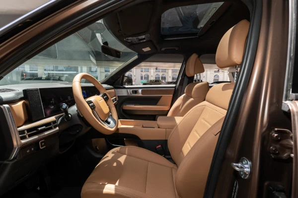  Brown Hyundai Santa Fe Photo 6