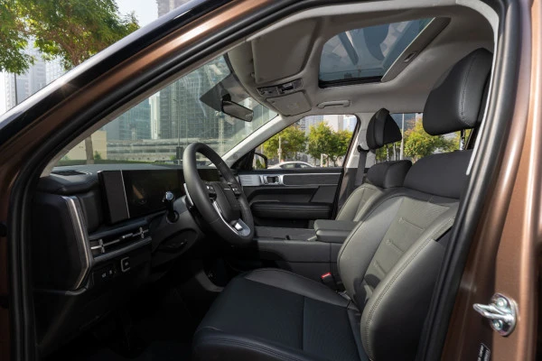  Marrone Hyundai Santa Fe Photo 5