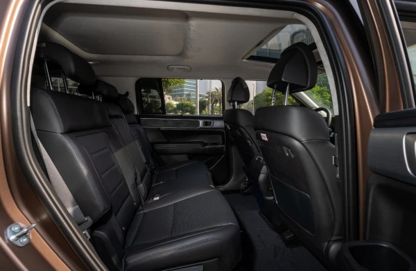  Marrone Hyundai Santa Fe Photo 6