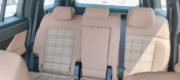  Braun Hyundai Santa Fe Photo 2