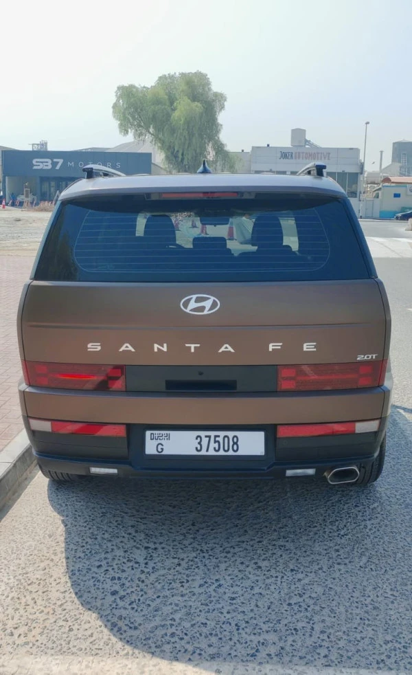  Braun Hyundai Santa Fe Photo 3