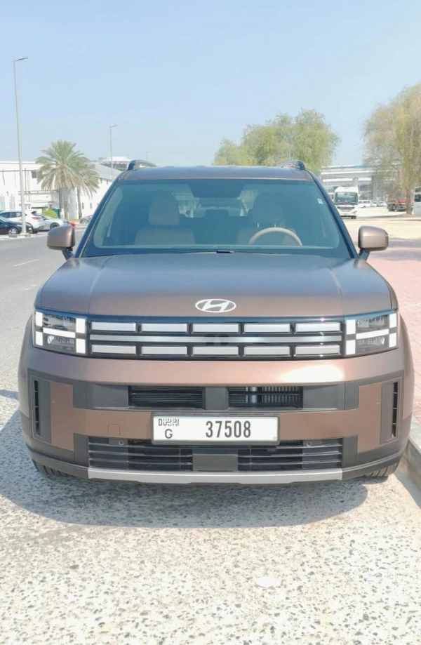  Braun Hyundai Santa Fe Photo 5