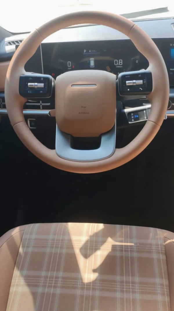  Braun Hyundai Santa Fe Photo 7