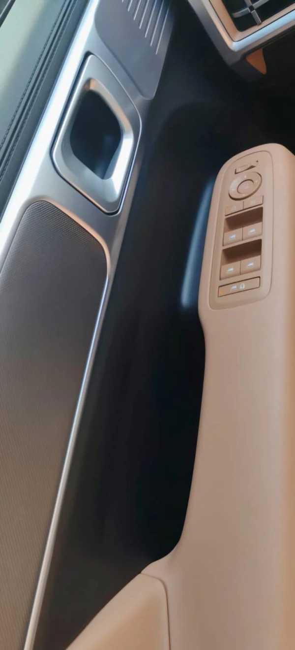  Braun Hyundai Santa Fe Photo 9