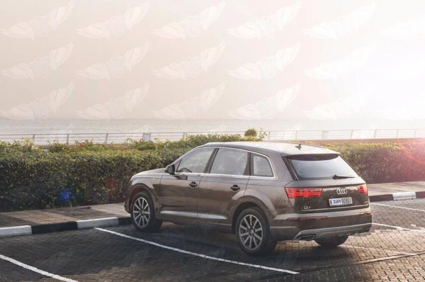  Dark Brown Audi Q7 v8 Limited Edition Photo 4