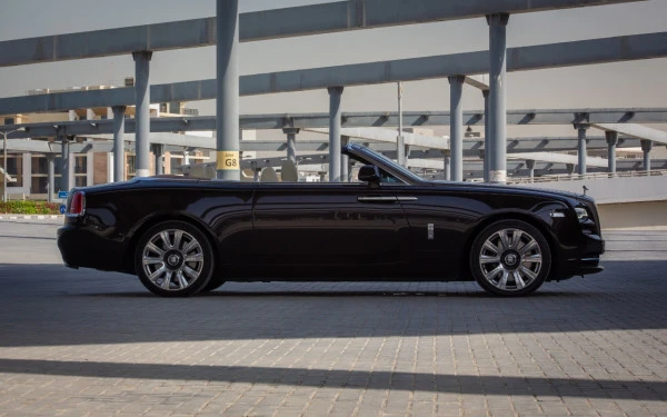  Dark Brown Rolls Royce Dawn Photo 9
