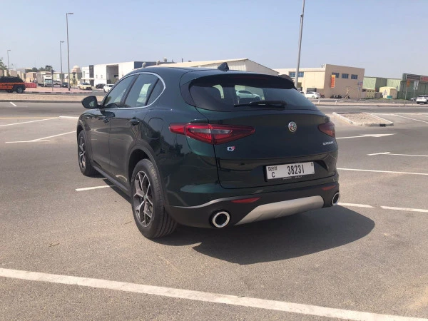  Green Alfa Romeo Stelvio Photo 6