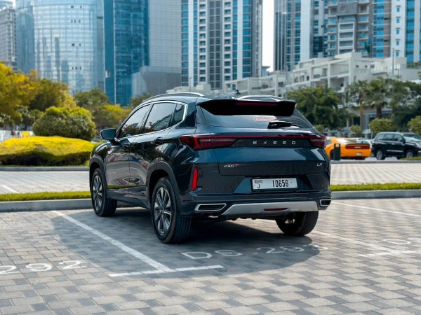  Grey Exeed LX Photo 6