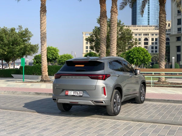  Grey Exeed LX Photo 9