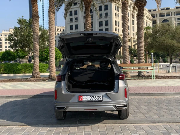  Grey Exeed LX Photo 10