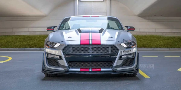  Grey Ford Mustang Photo 3