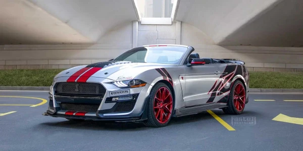  Grey Ford Mustang Photo 4