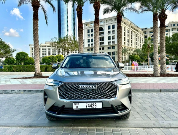  اللون الرمادي هافال H6 Photo 8