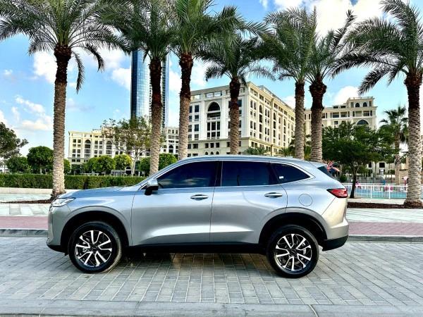  اللون الرمادي هافال H6 Photo 13