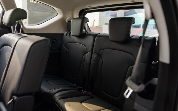  Grey Hyundai Stargazer Photo 6