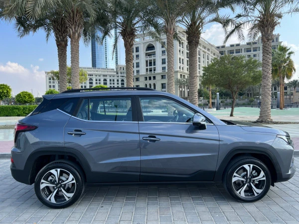  Grey JAC JS4 Photo 8