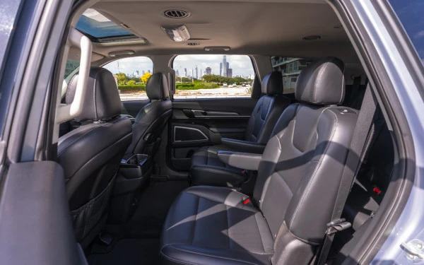  Grey KIA TELLURIDE Photo 8